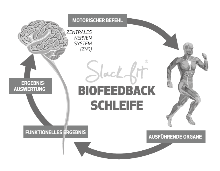 Bio-feedback-Loop---DE