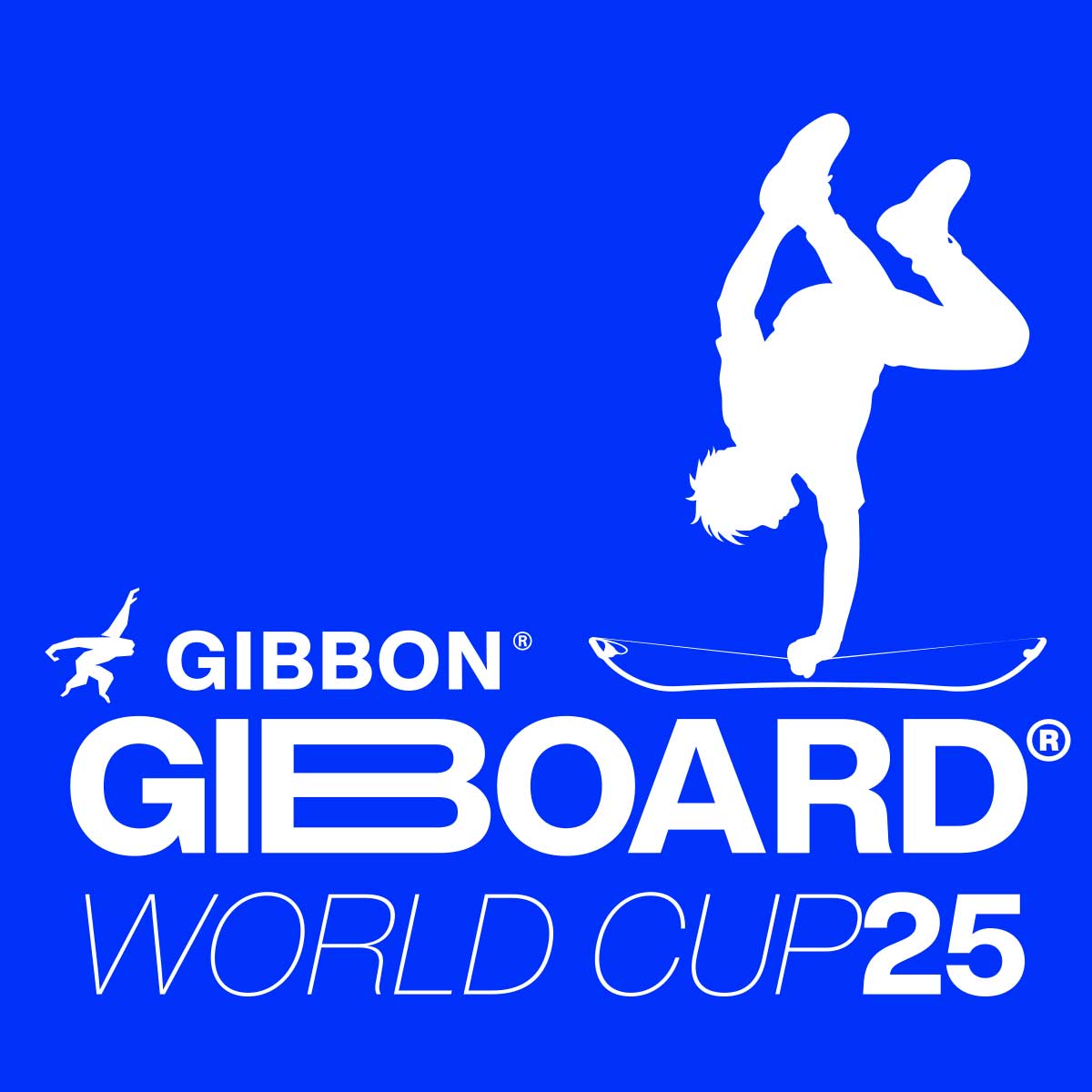 GIBOARD-WM GIBOARD-WM
